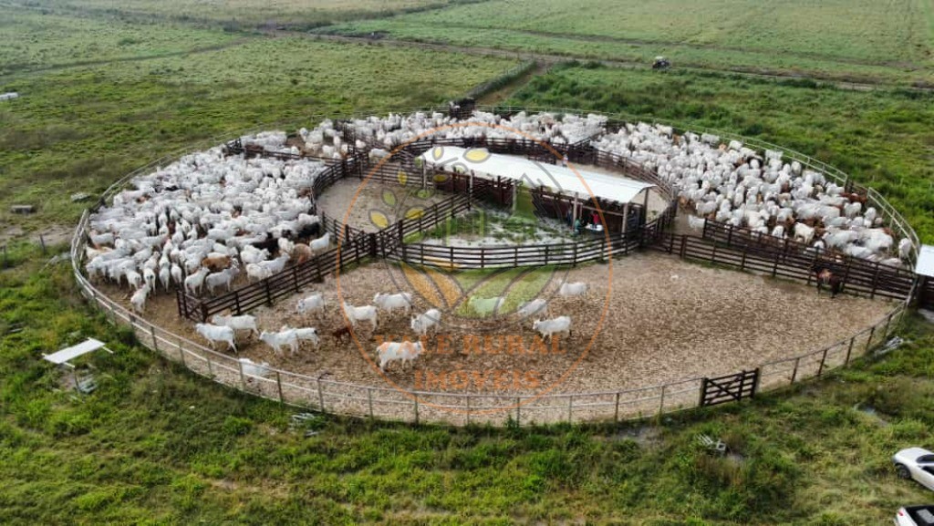 Fazenda, 1 quarto - Foto 6