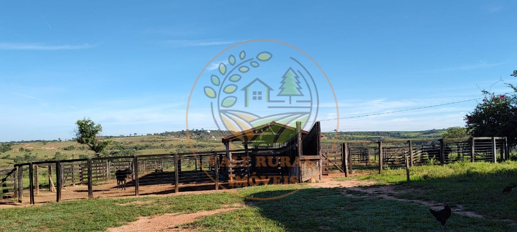 Fazenda - Foto 1