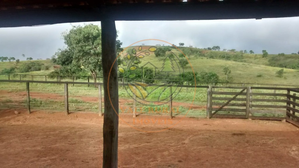 Fazenda - Foto 18