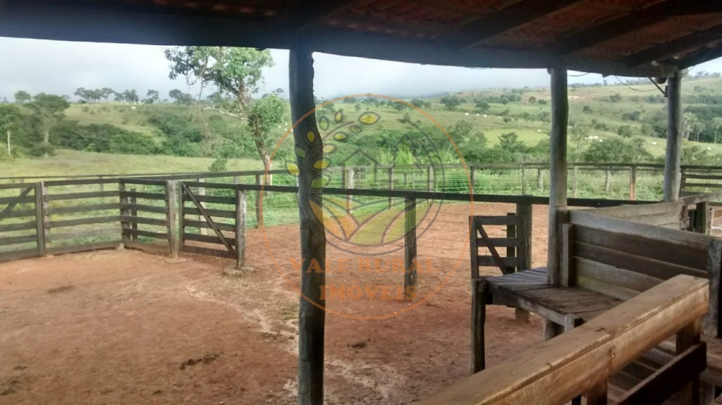 Fazenda - Foto 16