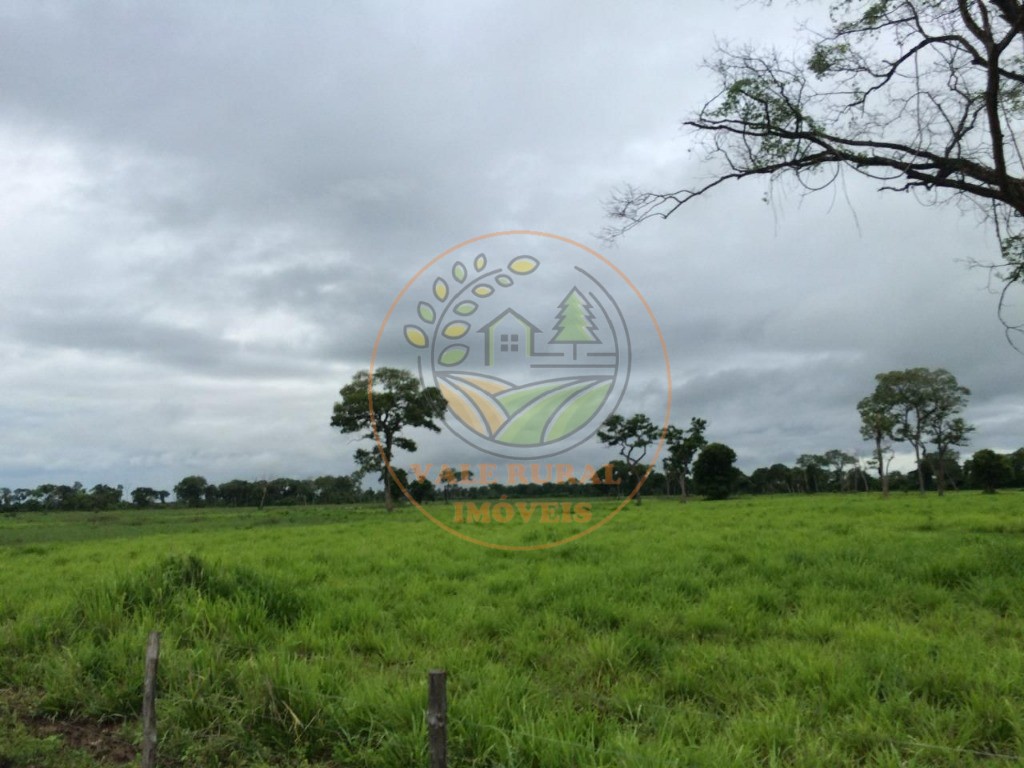 Fazenda, 2 quartos - Foto 22