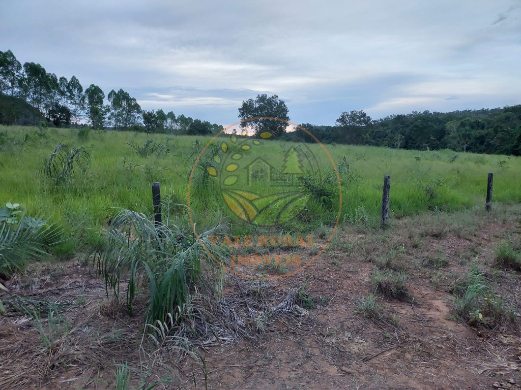 Fazenda - Foto 5