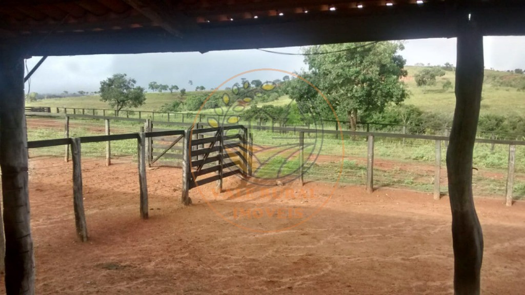 Fazenda - Foto 15