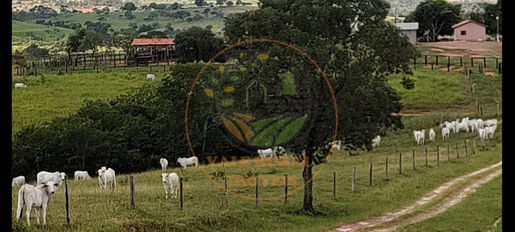 Fazenda - Foto 2