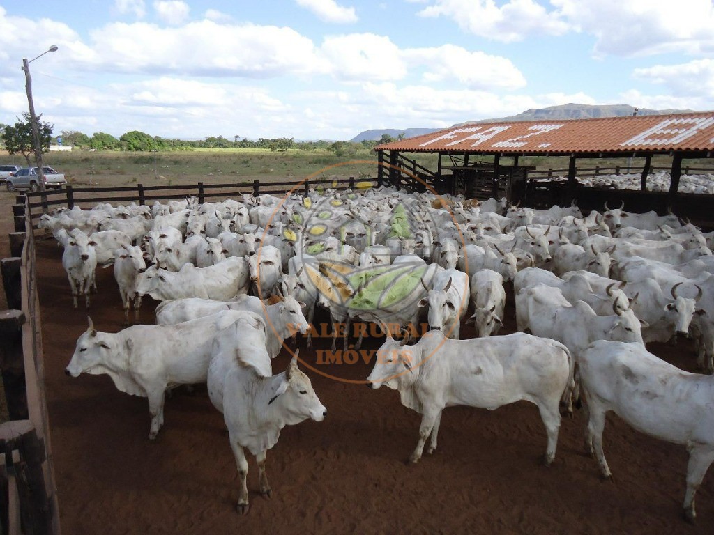 Fazenda, 2 quartos - Foto 2