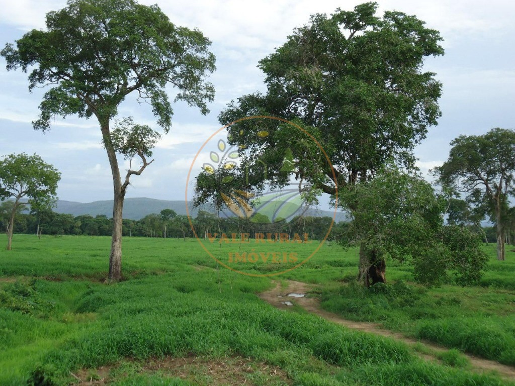 Fazenda, 2 quartos - Foto 20