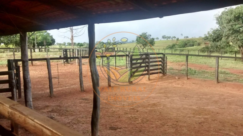 Fazenda - Foto 13