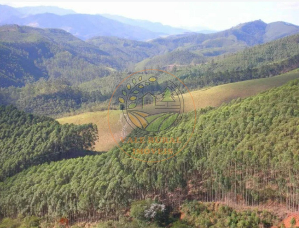 Fazenda - Foto 3