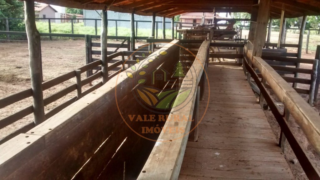 Fazenda - Foto 10