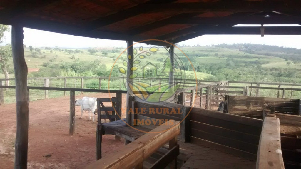 Fazenda - Foto 20