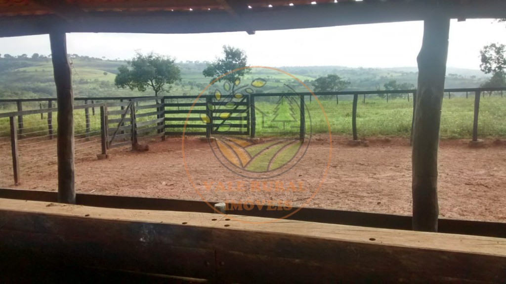 Fazenda - Foto 19