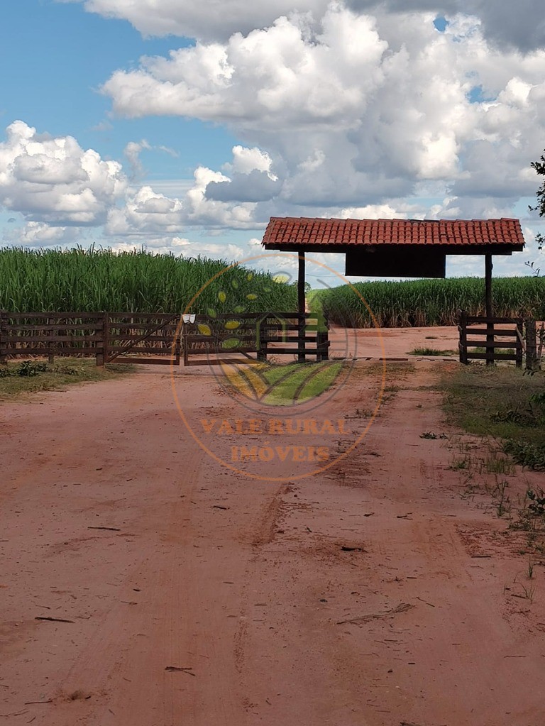 Fazenda - Foto 8