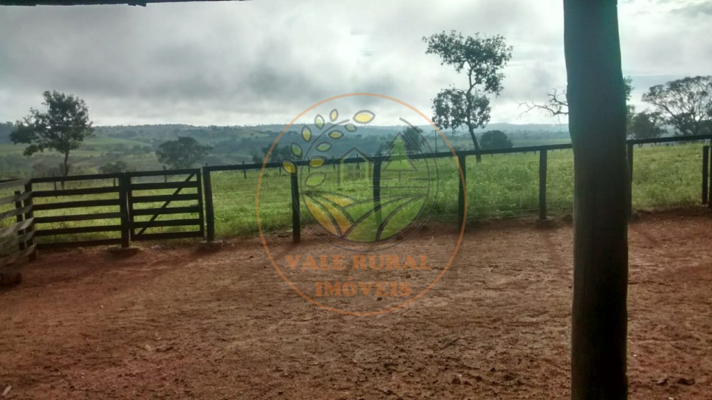 Fazenda - Foto 12