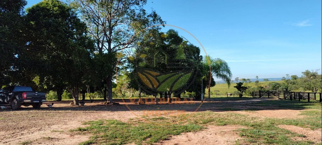 Fazenda - Foto 4