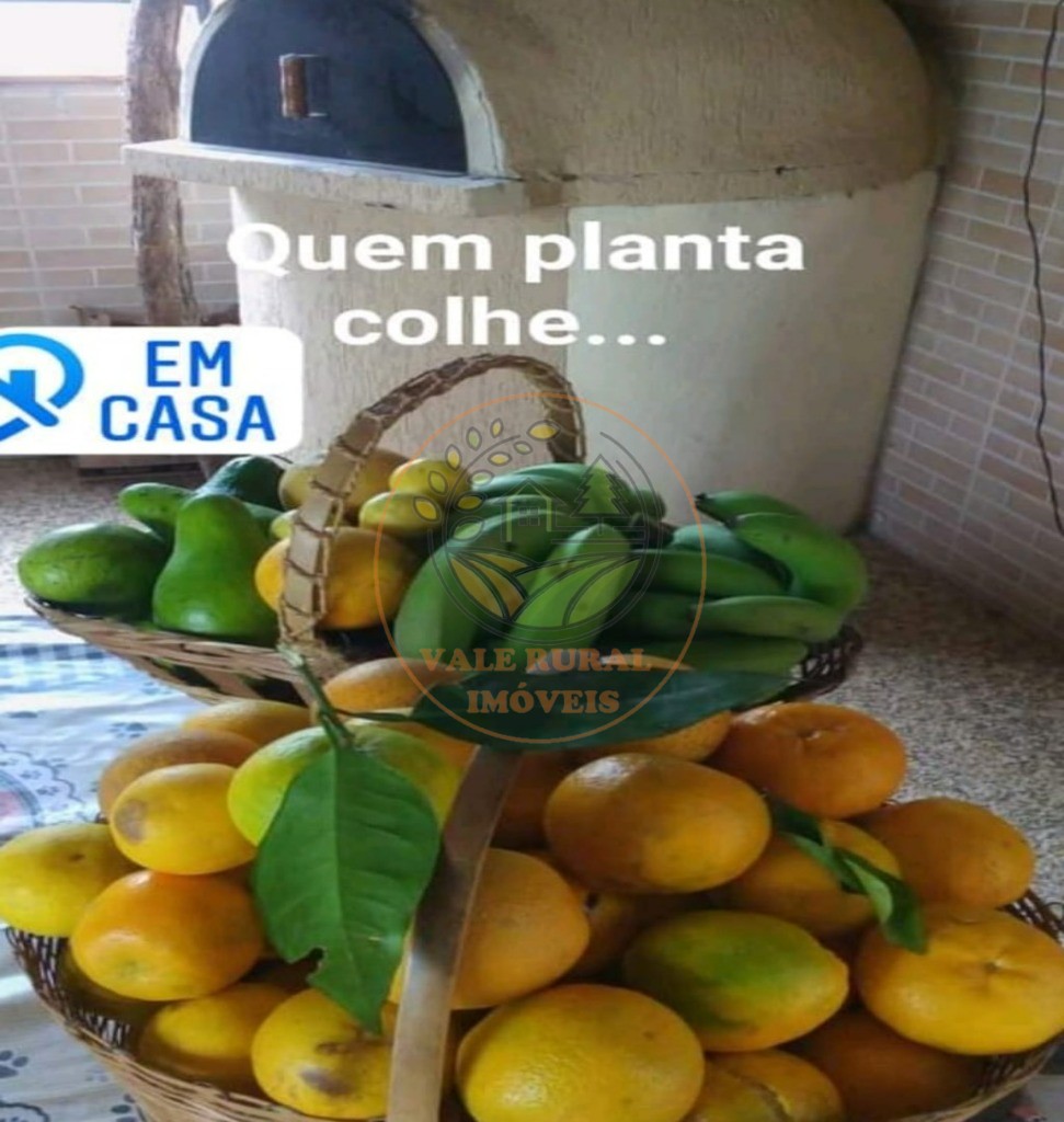 Chácara, 3 quartos, 3680 m² - Foto 106