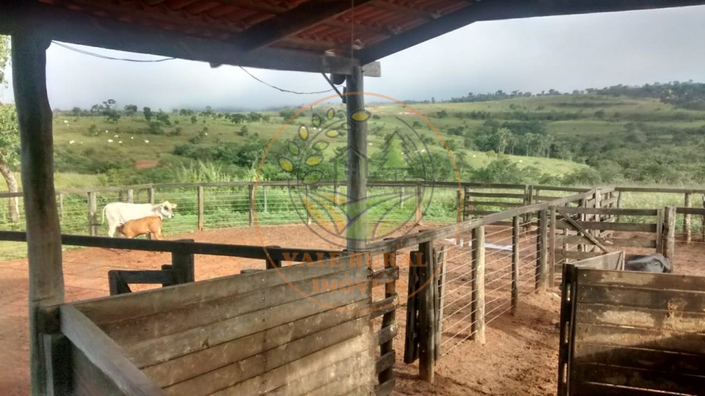Fazenda - Foto 14