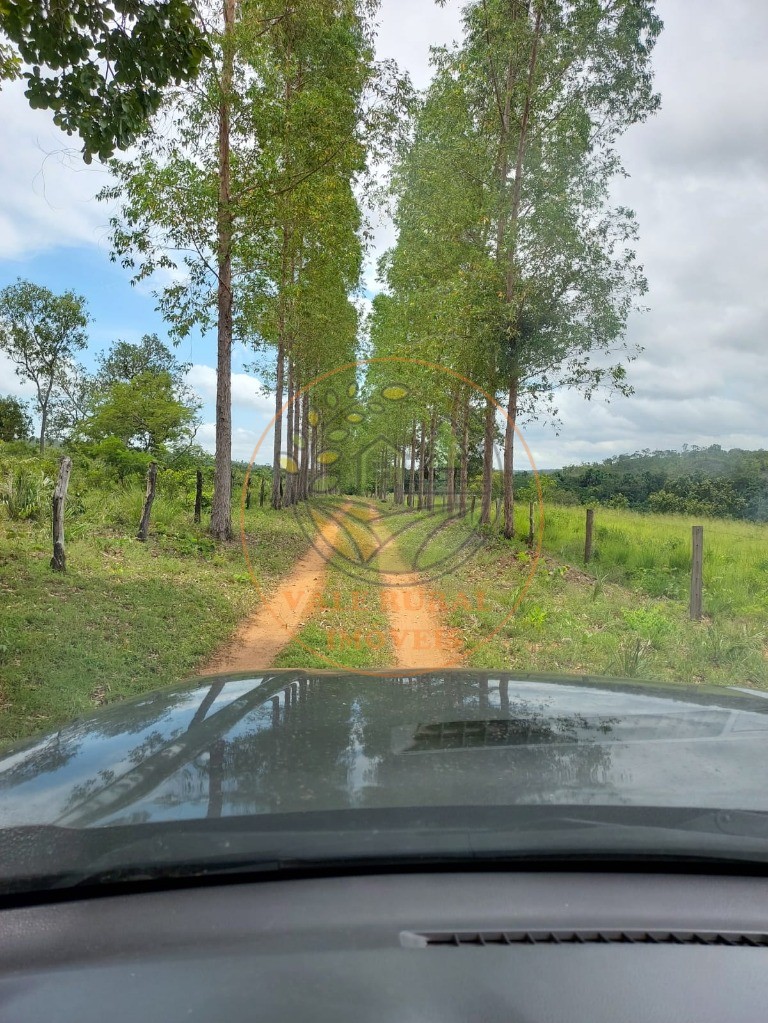 Fazenda - Foto 16