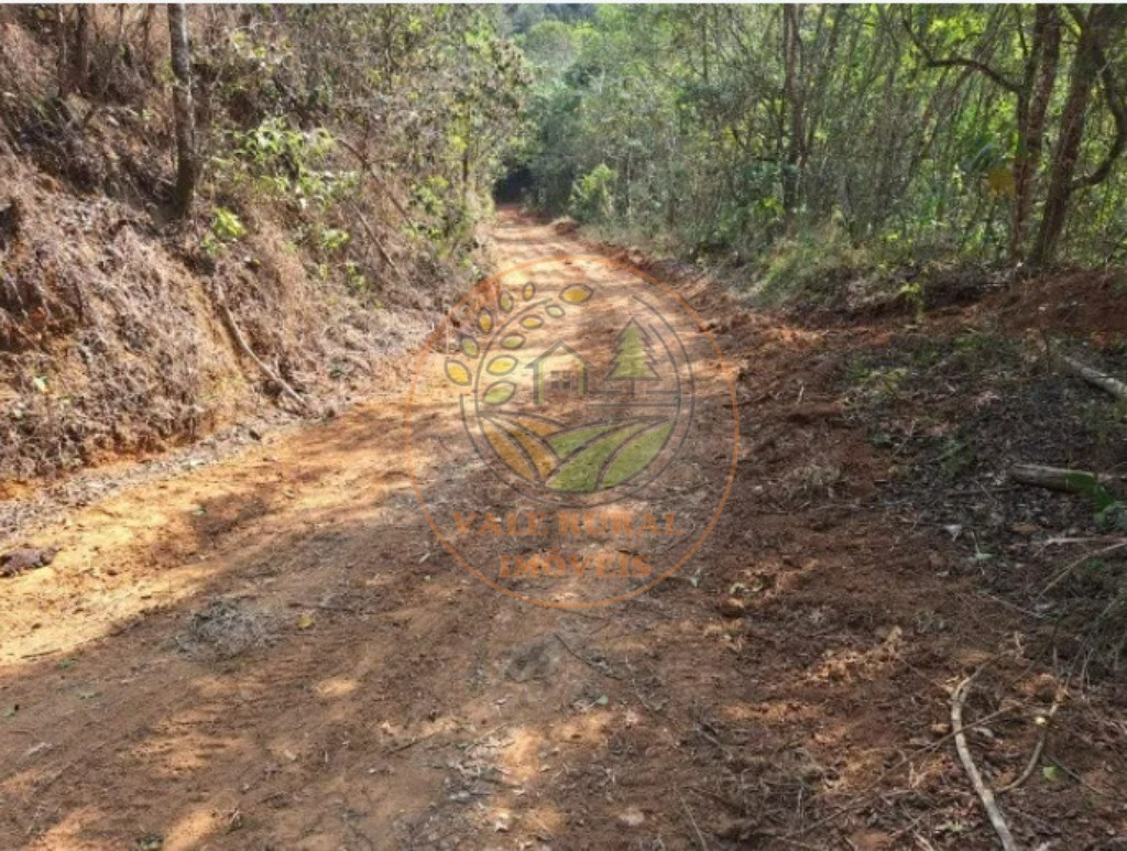 Fazenda - Foto 13