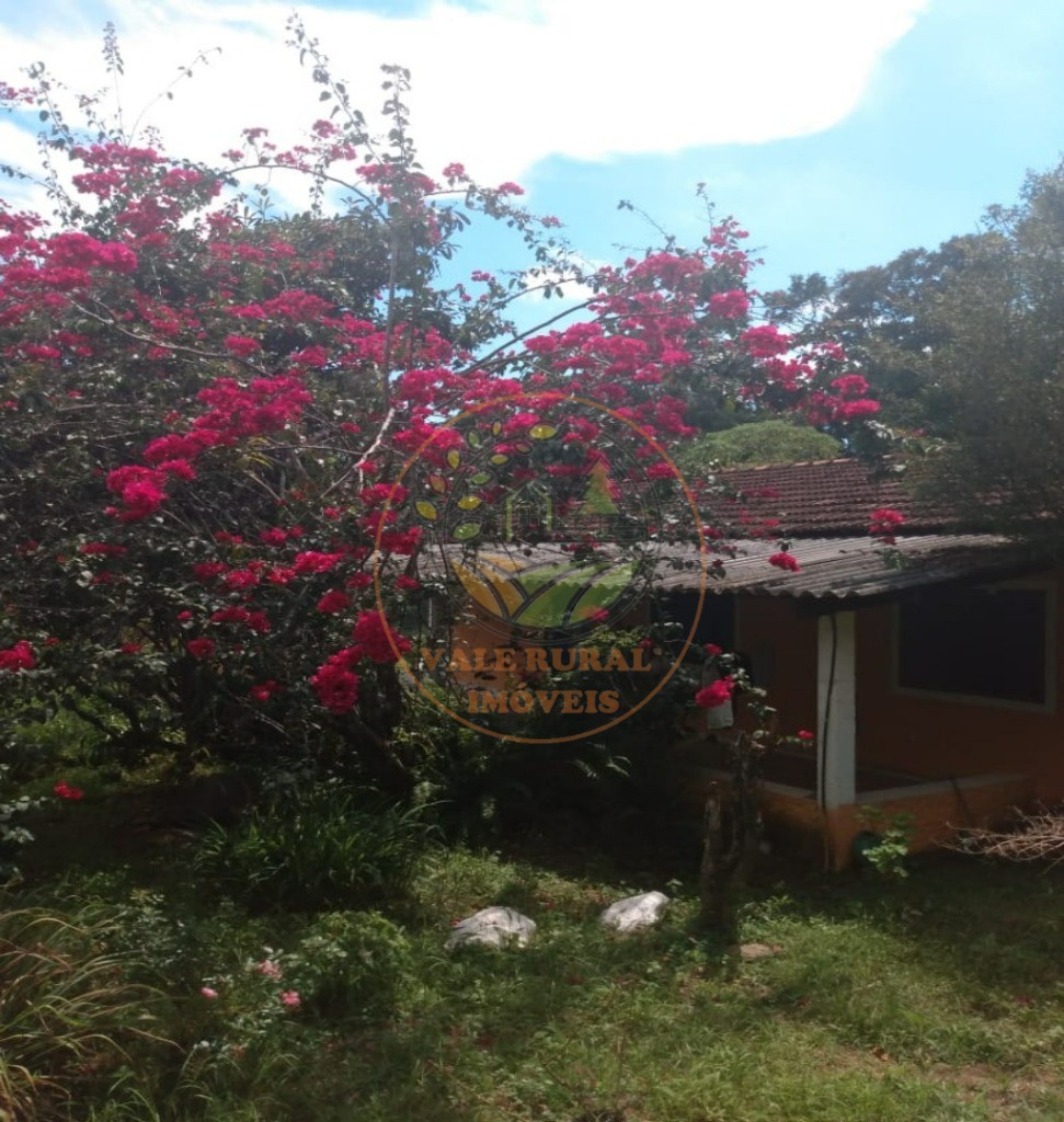 Chácara, 3 quartos, 3680 m² - Foto 95