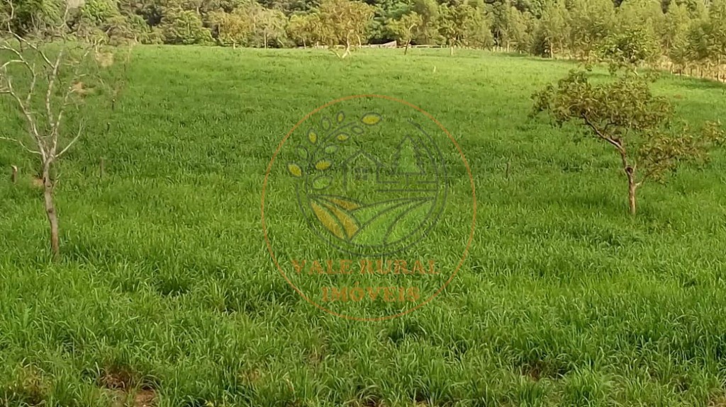 Fazenda - Foto 10