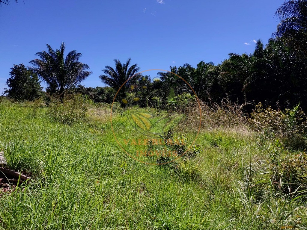 Fazenda - Foto 11