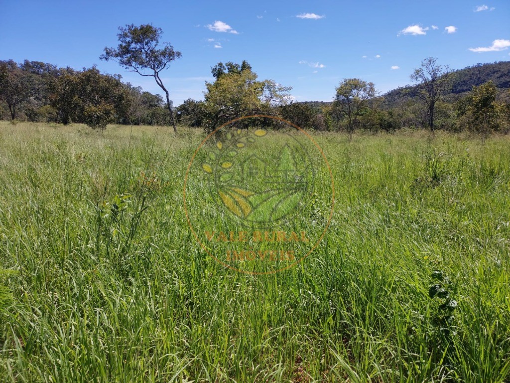 Fazenda - Foto 3