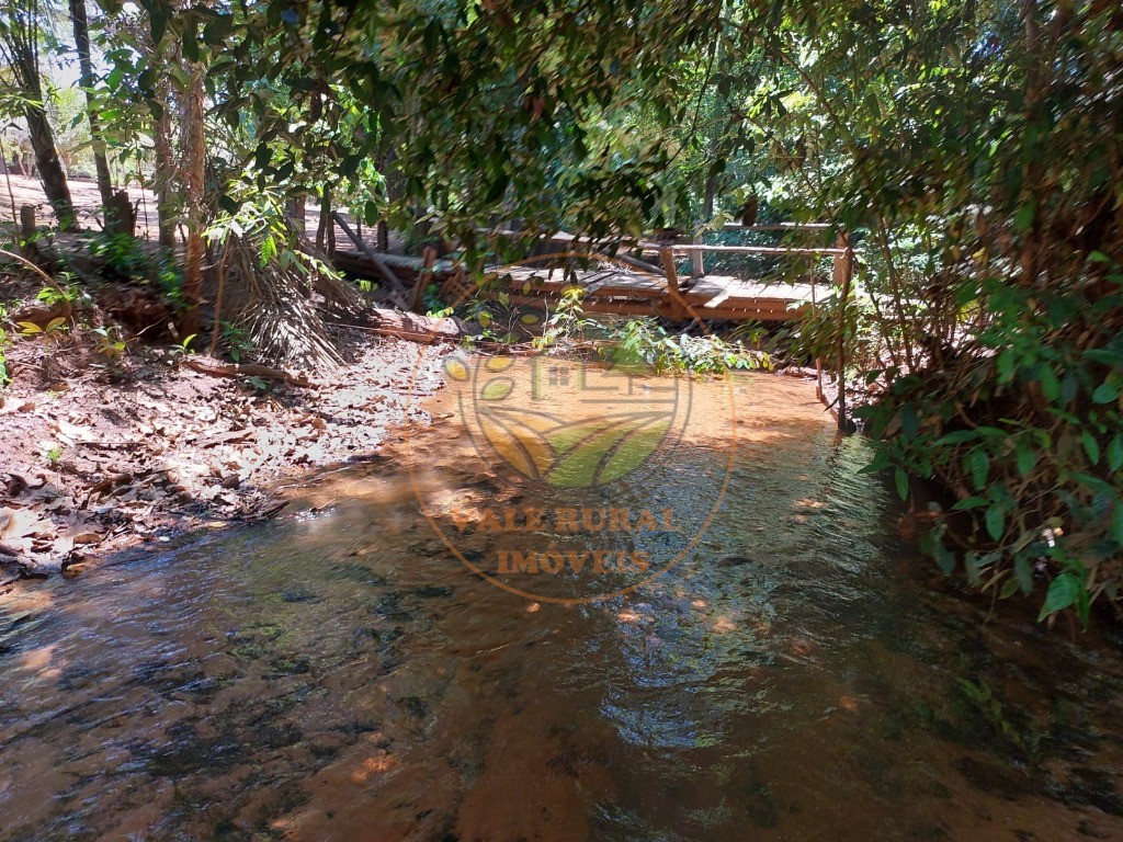 Fazenda - Foto 8