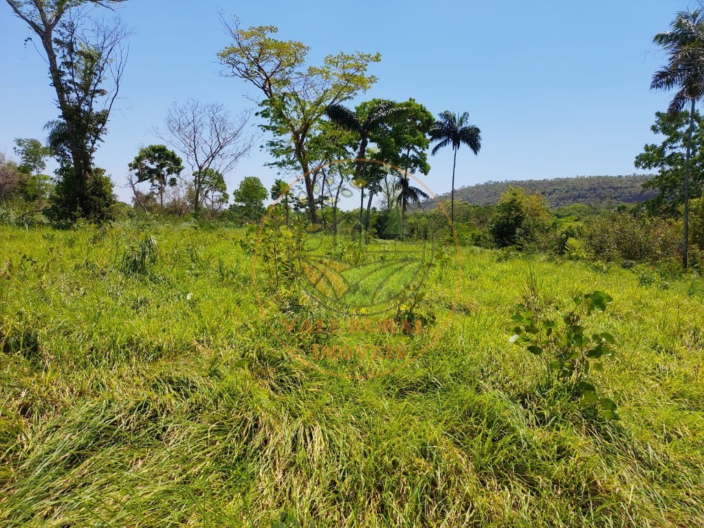 Fazenda - Foto 6