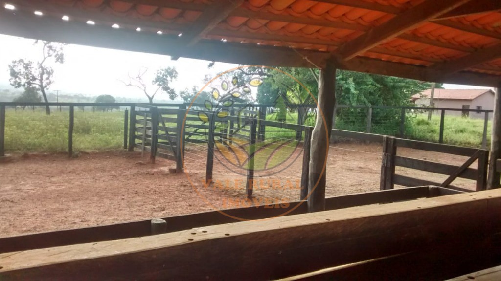 Fazenda - Foto 11