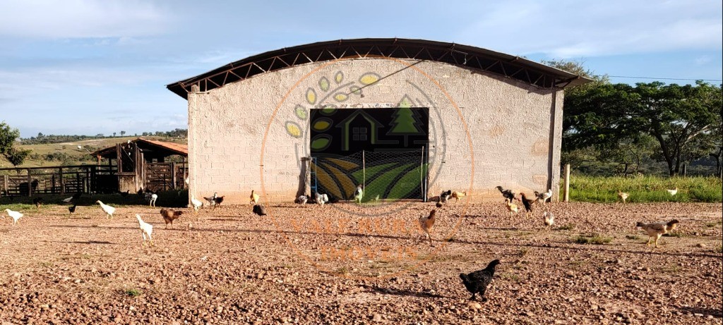 Fazenda - Foto 25