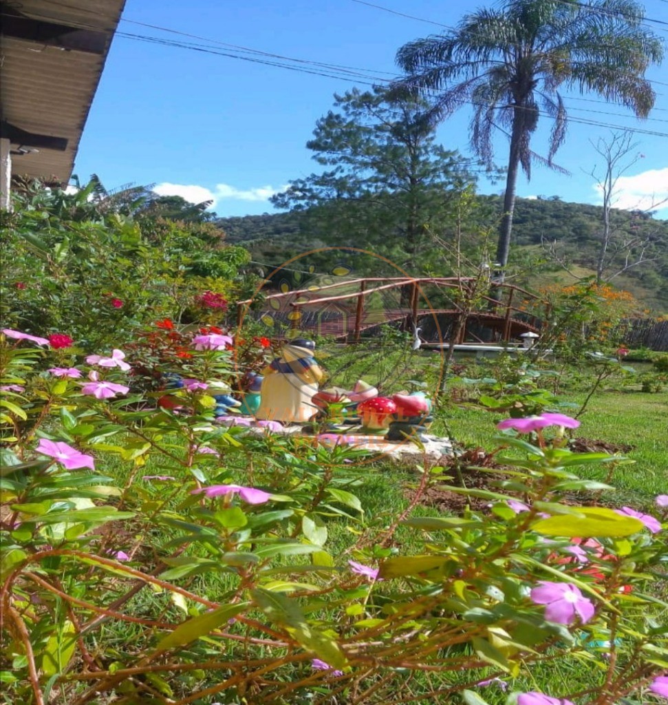 Chácara, 3 quartos, 3680 m² - Foto 66