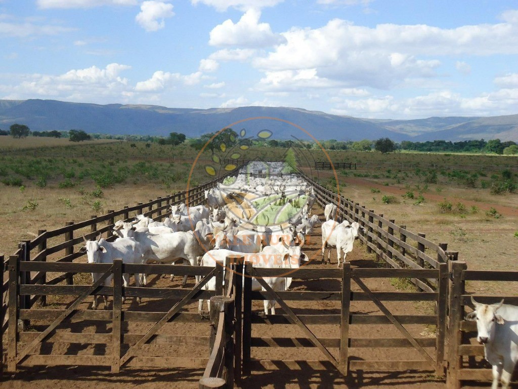 Fazenda, 2 quartos - Foto 1