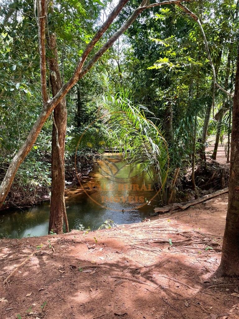 Fazenda - Foto 14