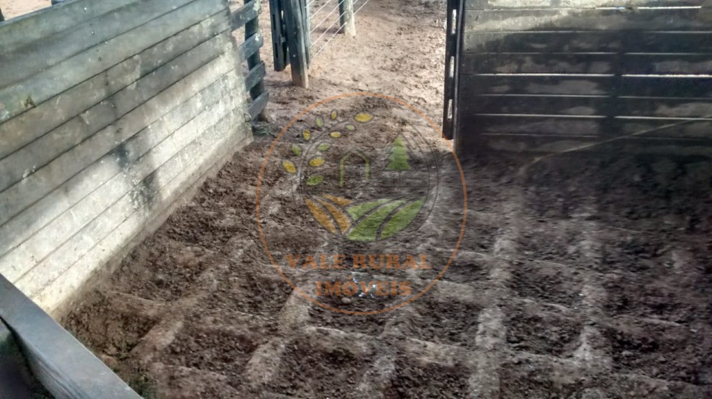 Fazenda - Foto 23