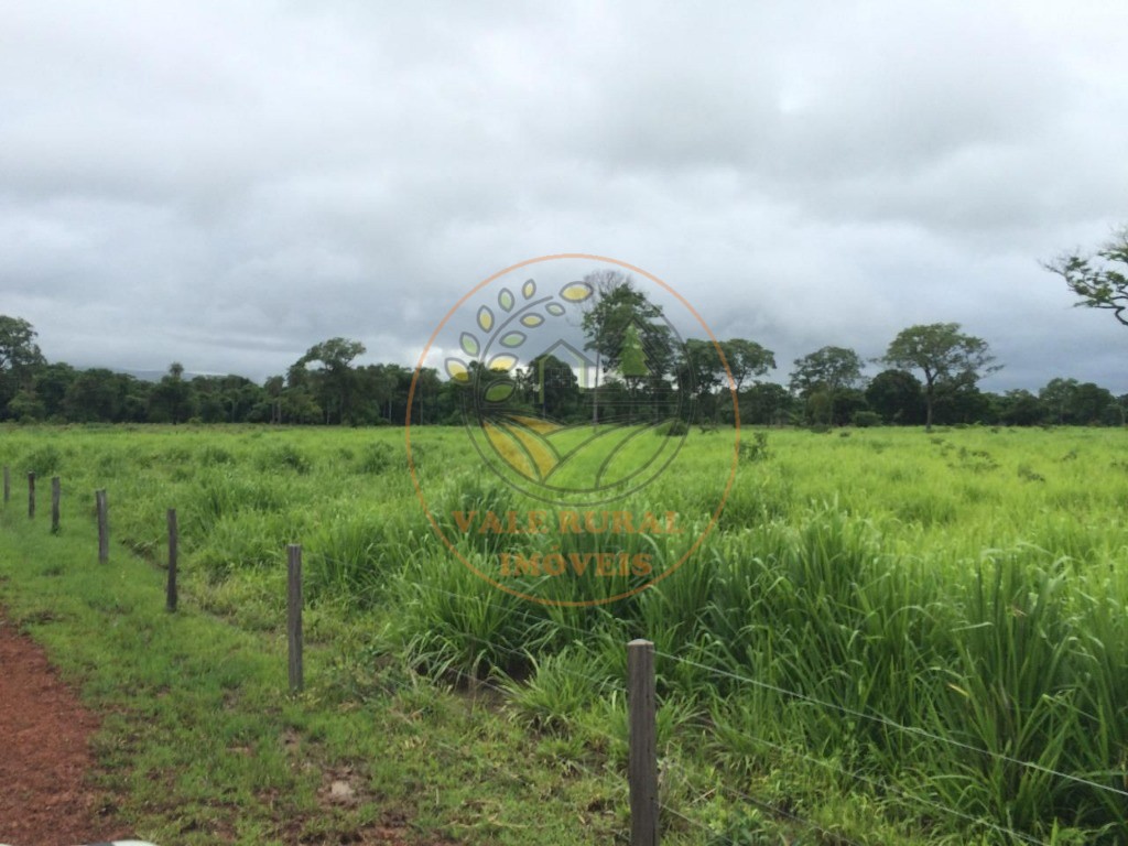 Fazenda, 2 quartos - Foto 8