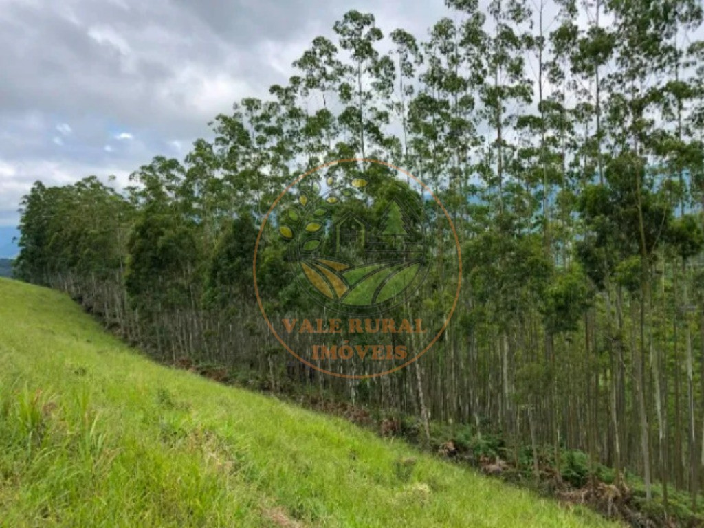 Fazenda - Foto 1