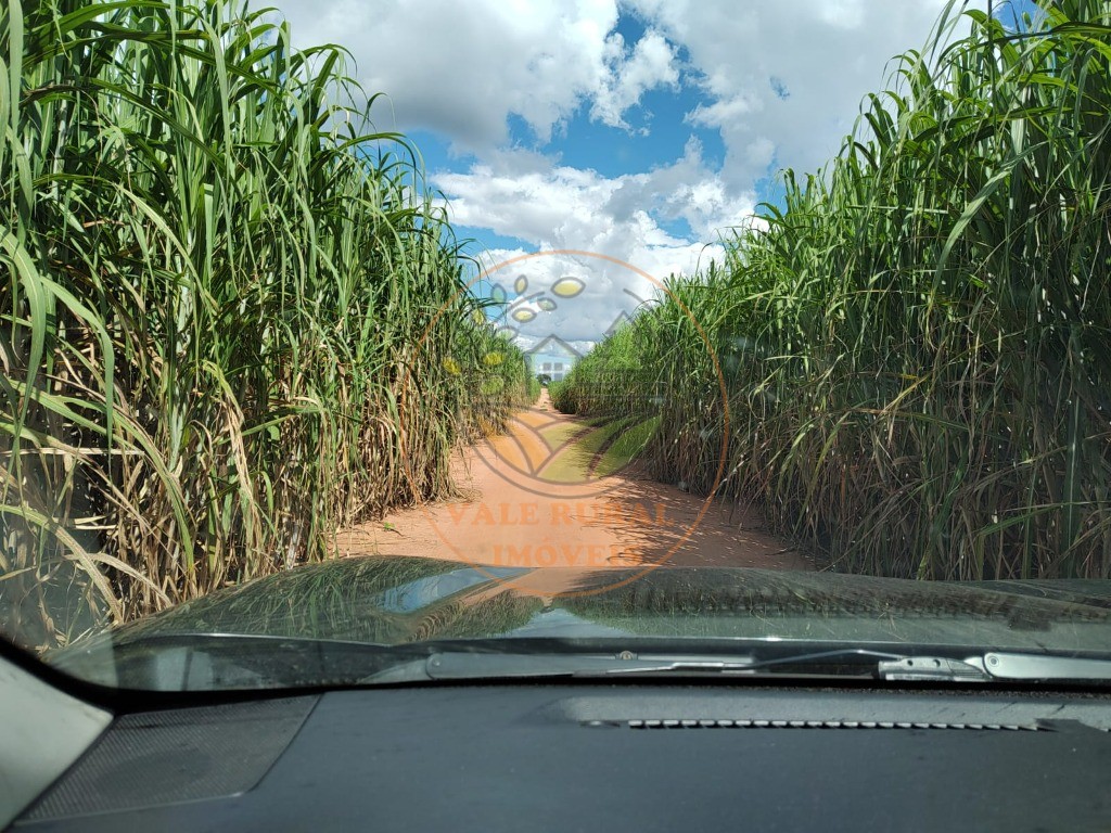 Fazenda - Foto 24
