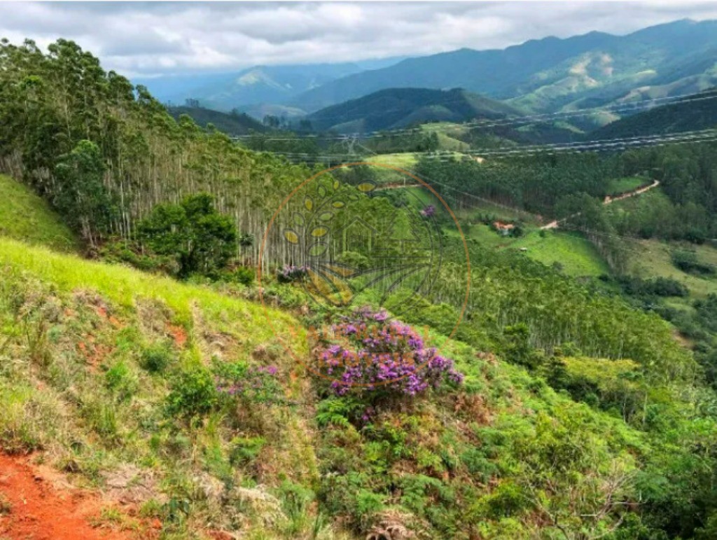 Fazenda - Foto 6