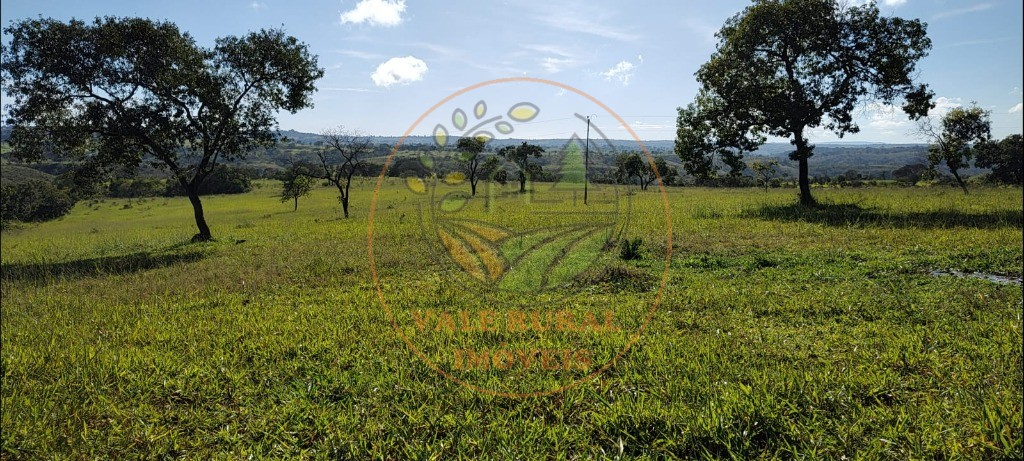 Fazenda - Foto 5