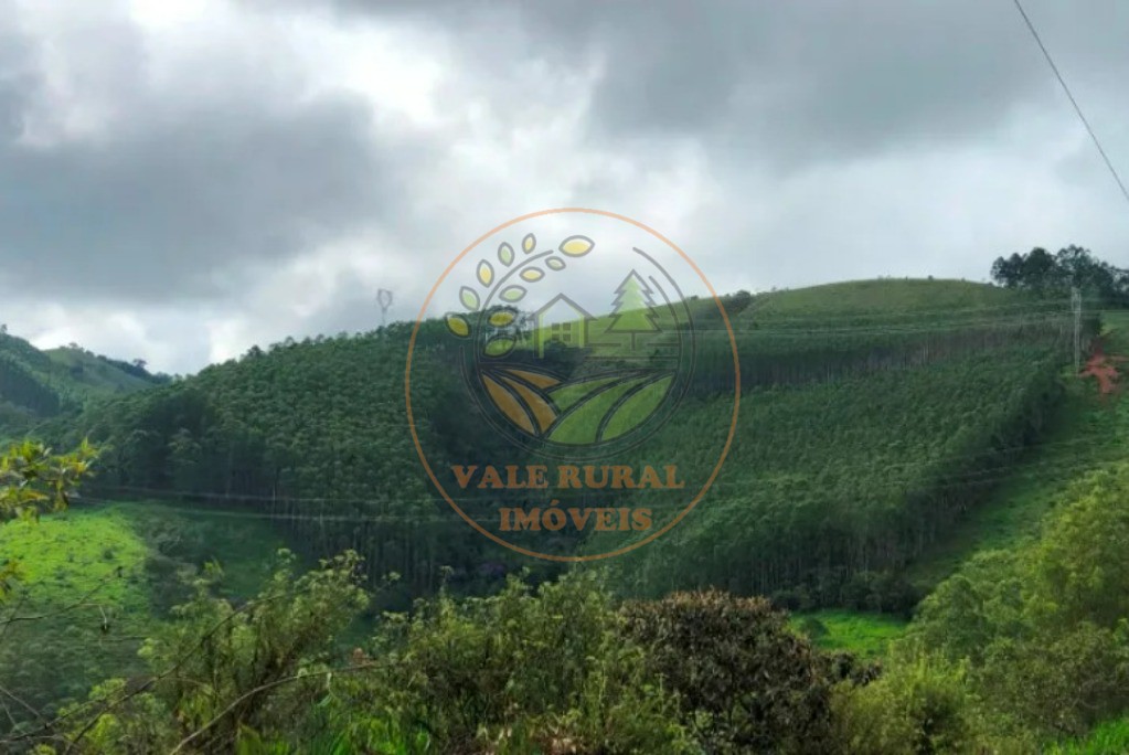 Fazenda - Foto 4