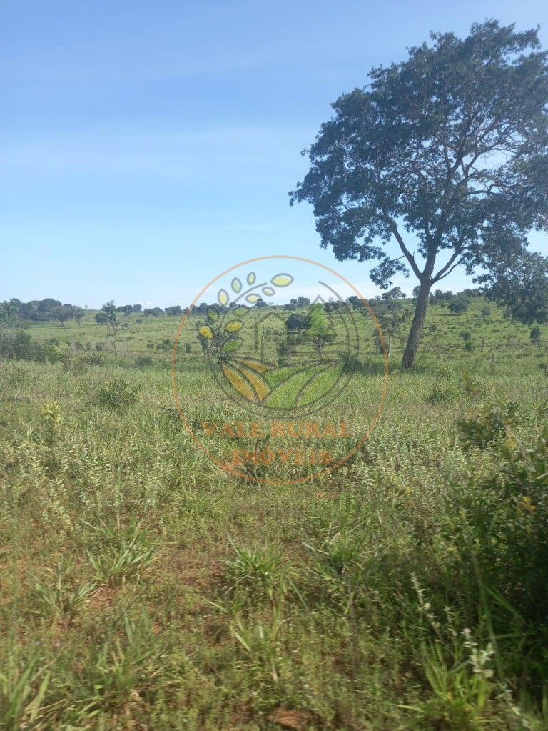Fazenda - Foto 17