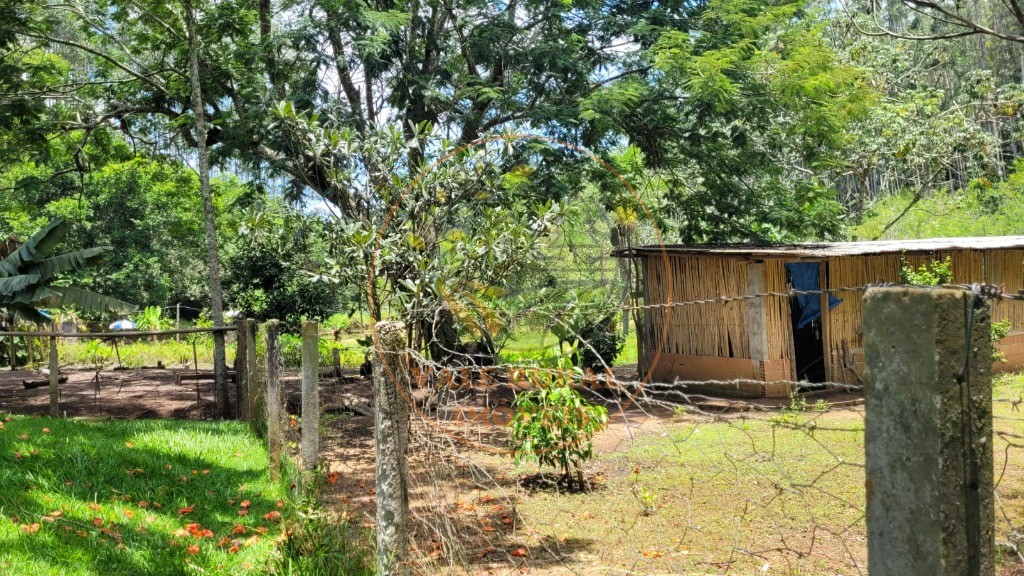 Chácara, 6 quartos - Foto 55