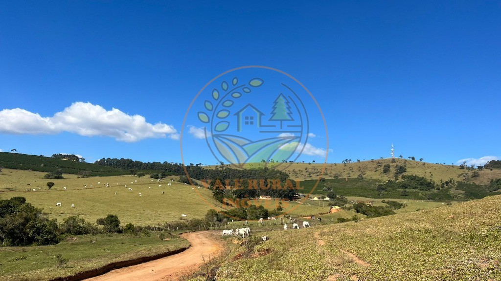 Fazenda - Foto 10