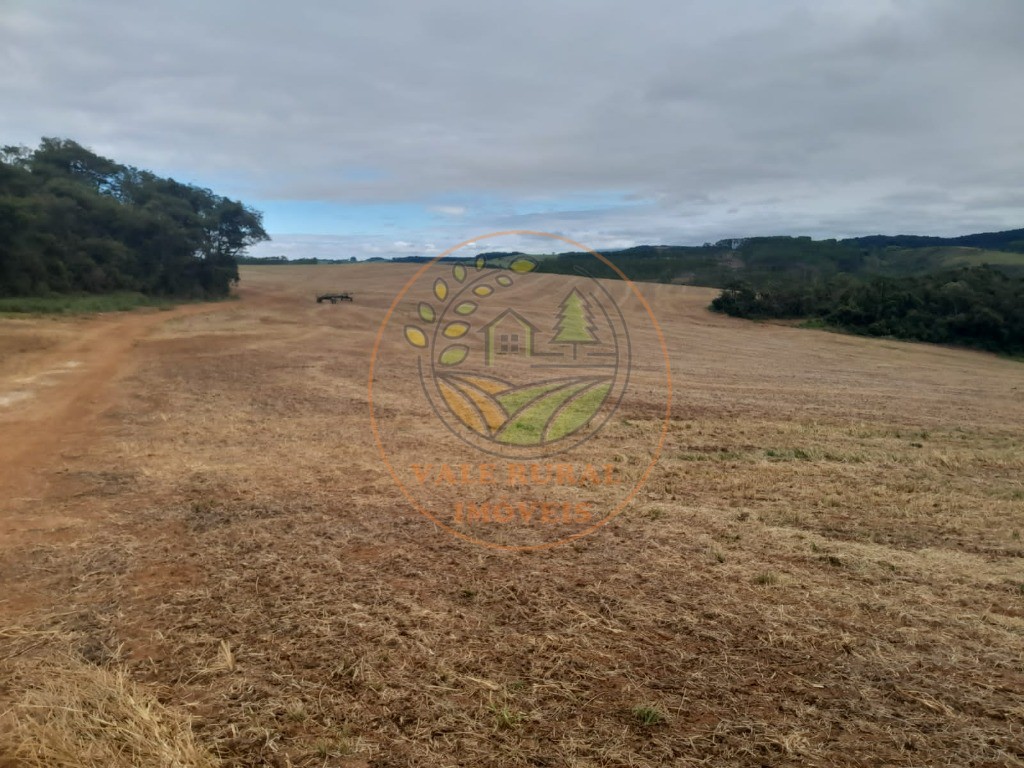 Fazenda, 3 quartos - Foto 32