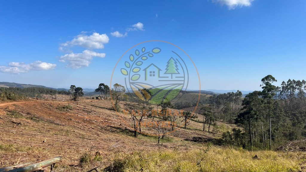 Fazenda - Foto 14