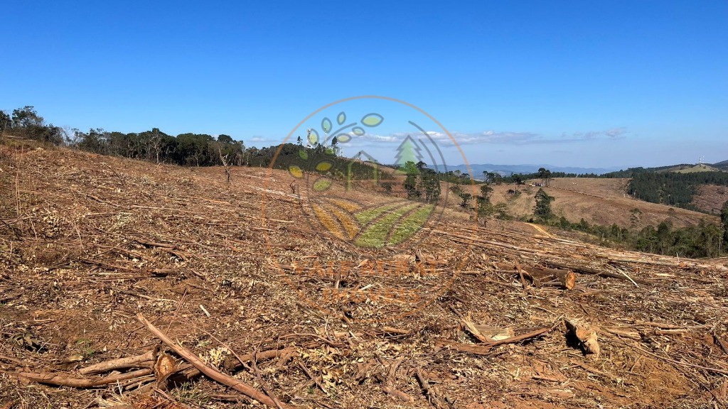 Fazenda - Foto 18