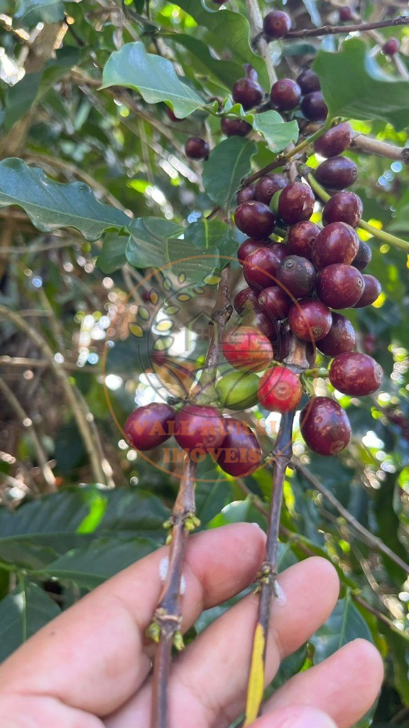 Fazenda - Foto 23