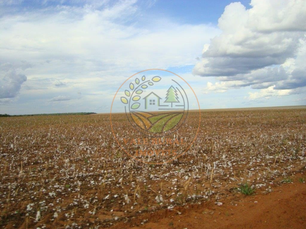 Fazenda, 3 quartos - Foto 11