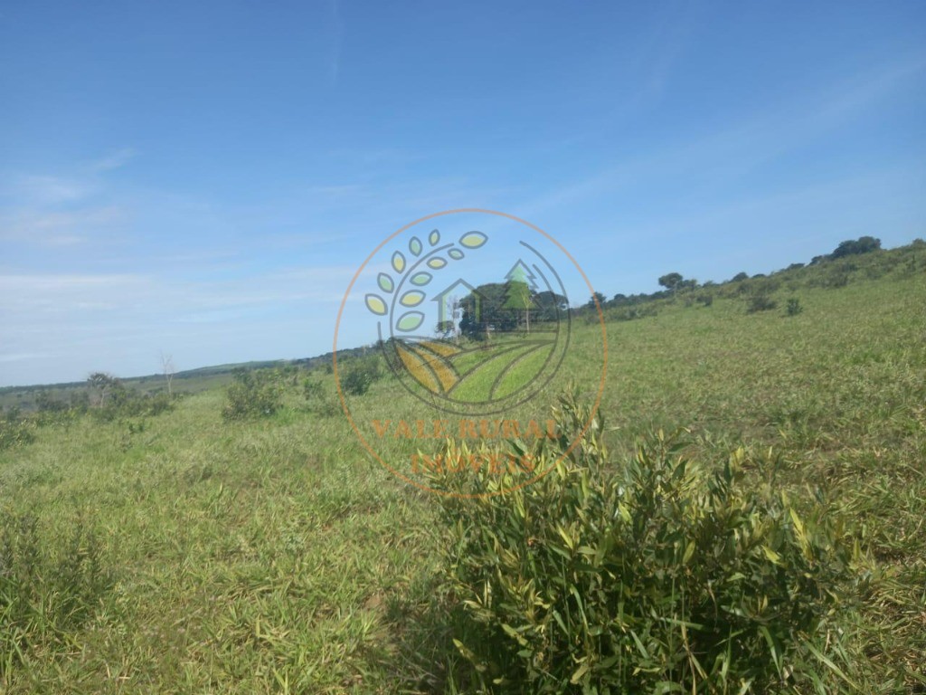 Fazenda - Foto 15