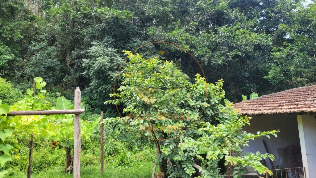 Chácara, 6 quartos - Foto 53